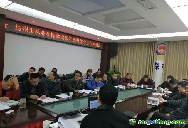 四川省达州市召开碳汇造林绿化工作座谈会