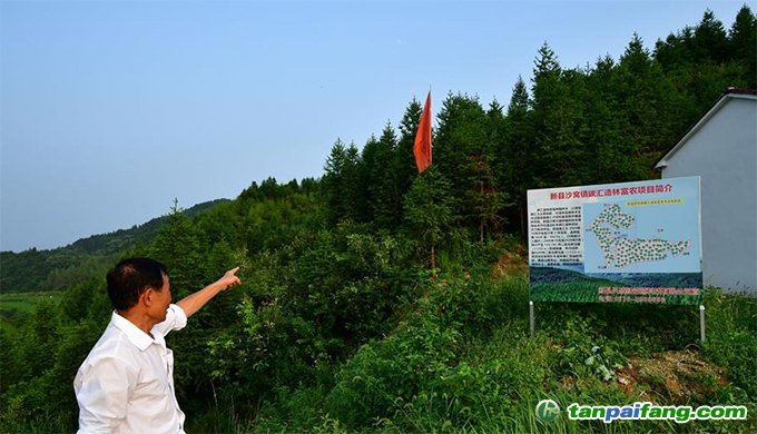 河南新县推进碳汇交易 探索生态扶贫新路径