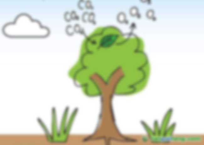 全球变暖削弱植物“吸碳”能力