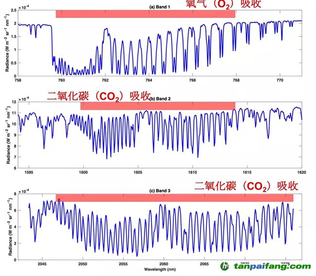 探测“地球的呼吸”：中国碳卫星首幅全球陆表大气二氧化碳分布图