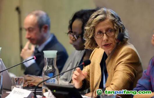 IUCN总干事Inger Andersen被提名为联合国环境规划署执行主任