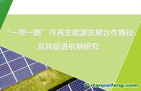 《“一带一路”可再生能源发展合作路径及其促进机制研究》（执行报告）【附电子版文件下载】