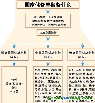 国家储备林，储备我们的未来