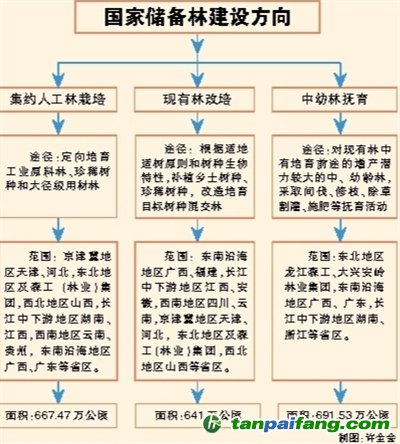 国家储备林，储备我们的未来