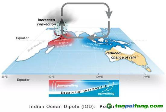  2019 年 10 月，印度洋偶极指数正向爆发导致澳大利亚降雨减少，非洲东部降雨增多。