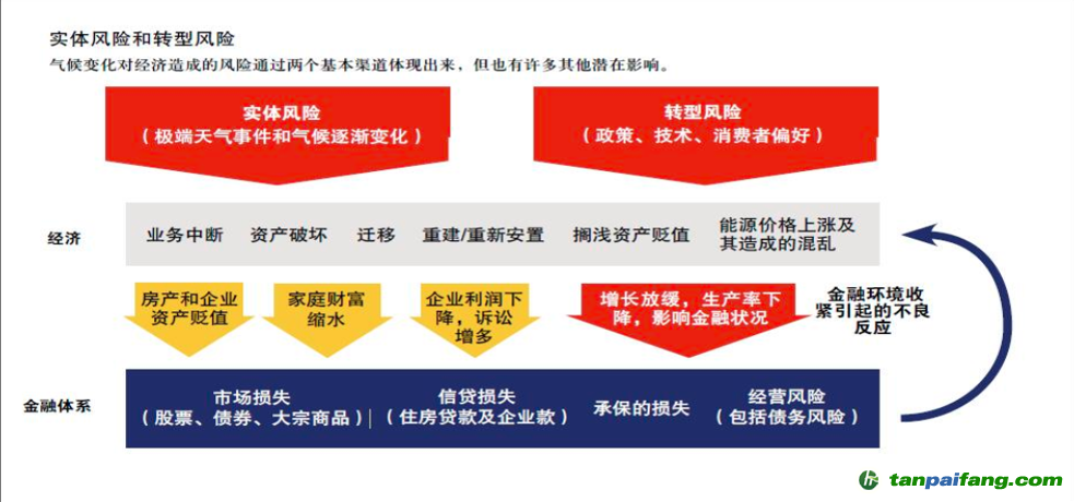 图3 来源：国际货币基金组织（IMF）