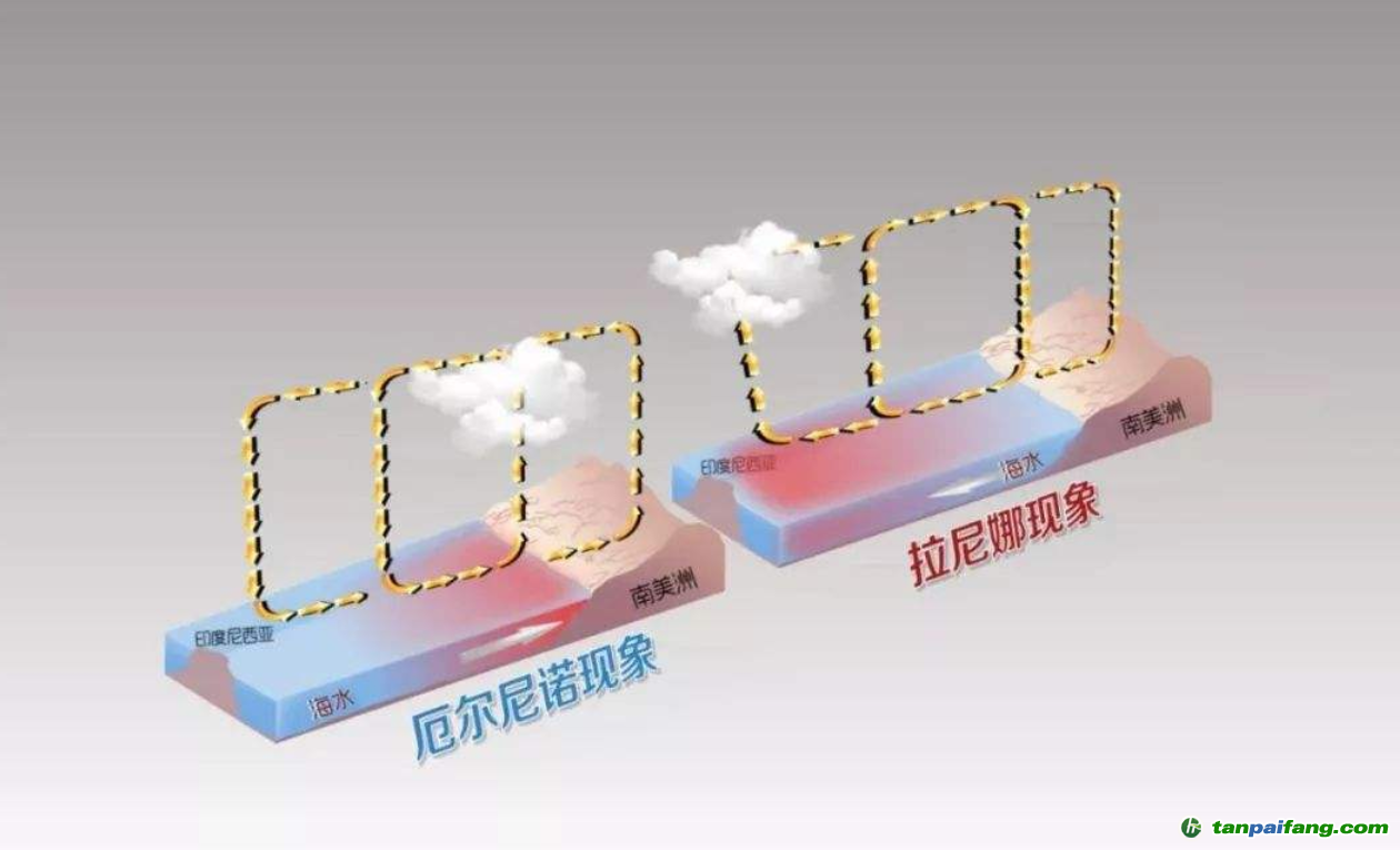 2020年异常气候频繁！新研究：未来或风更强、雨更多，人类咋办？