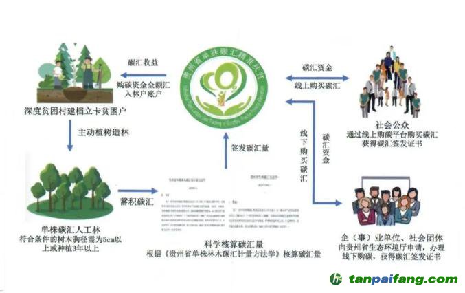 健康风险和父母身份