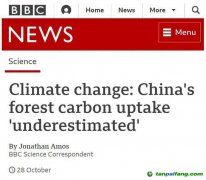 BBC：中国植树造林的作用“被低估了” 中国是全球变绿的重要力量