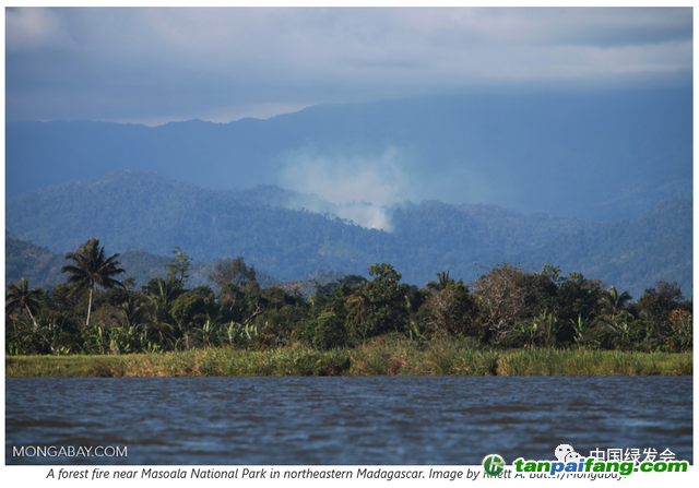 上图：马达加斯加东北部马索阿拉国家公园附近发生森林火灾。摄影:Rhett A. Butler/Mongabay