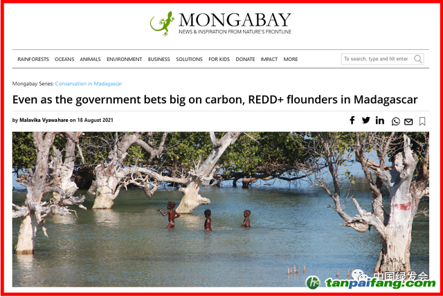 图片来源：Mongabay