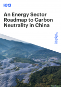 国际能源署报告：中国能源领域的碳中和路线图