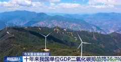 我国碳达峰、碳中和政策和行动保障体系已基本形成