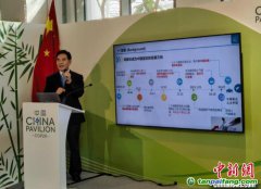 蒋庆哲：中国实现“双碳”目标有四大路径选择