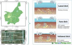 研究揭示影响不同级别农田沟渠碳排放的关键机制