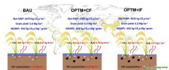 西南大学最新研究给出粮食增产与净碳减排“双赢”路径