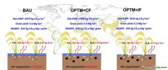 西南大学最新研究给出粮食增产与净碳减排“双赢”路径