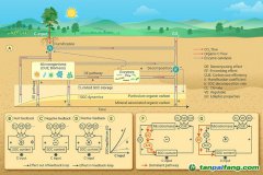 微生物碳利用效率高会抑制土壤固碳