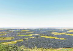 内蒙古：逐绿而行 促进碳市场高质量发展