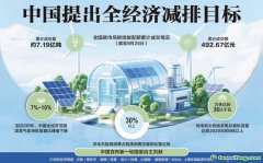 中国提出全经济减排目标 全国碳市场覆盖主要高排放行业