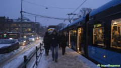 全球首个商业“碳坟场”什么样？