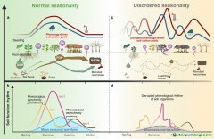 科学家呼吁全球监测土壤生物钟以稳固碳汇