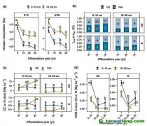 种树越久，固碳越慢？研究揭示饱和趋势
