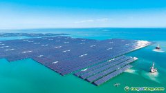 以“双碳”牵引绿色转型 筑牢美丽中国建设根基