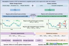 近20年中国森林管理经济有效地增加了陆地碳汇