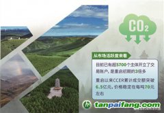 碳汇成“金” 育绿向“新”