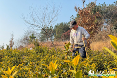 安徽：三个“绿账本”