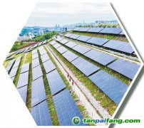 均为“约束性指标”，“十五五”时期必须完成——绿色低碳，5项指标展现中国行动