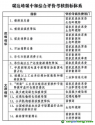 中共中央办公厅 国务院办公厅印发《碳达峰碳中和综合评价考核办法》