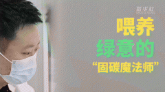 “绿领”新青年：喂养绿意的“固碳魔法师”