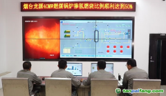 我国绿色零碳燃料替代利用迈入世界领先行列