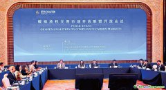 全球碳市场的尺子上，终于有了中国刻度
